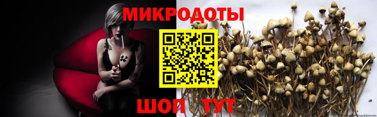 Чита  Галлюциногенные грибы MAGIC MUSHROOMS  Вход с VPN 
